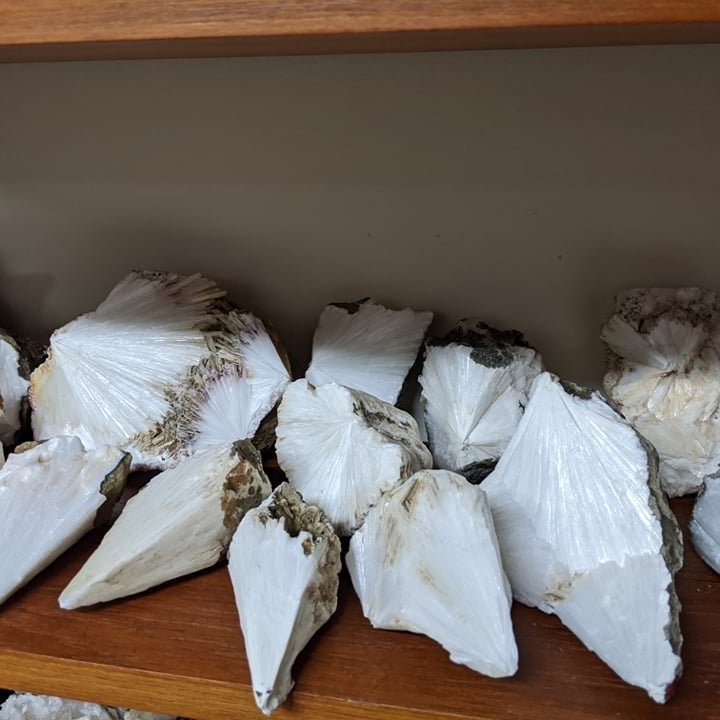 119517624_241119603965398_7218872615287983685_n