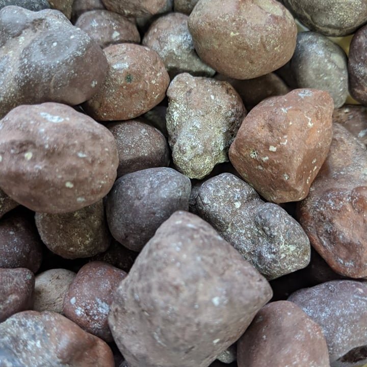 119735081_616782455654338_6289185501949248424_n