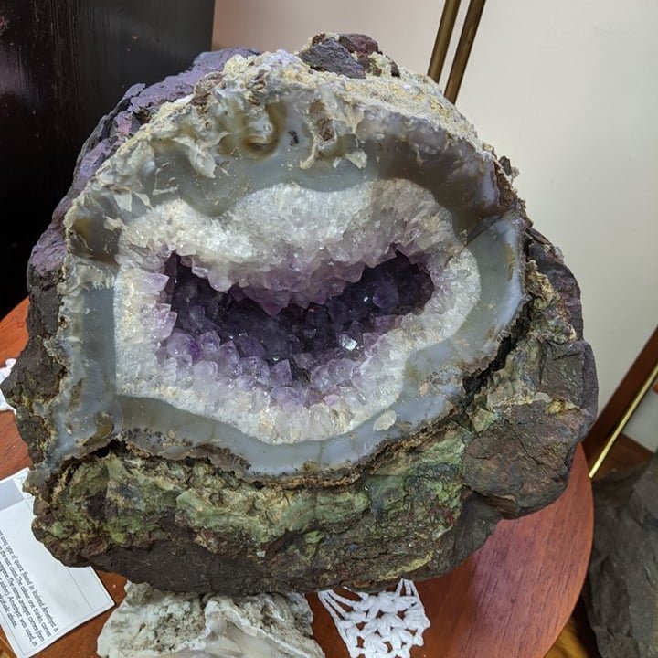 119741288_444760769818665_5829374957616697335_n