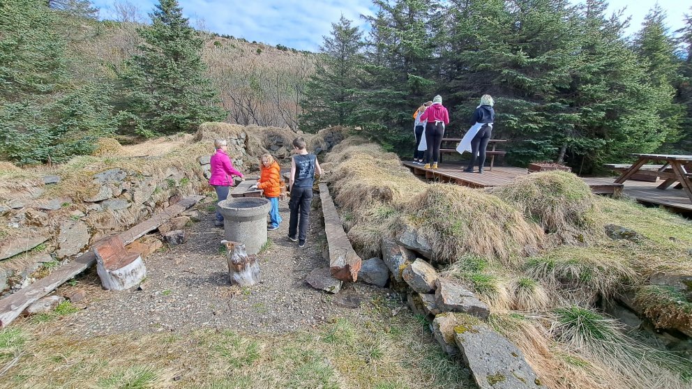 Málað í Nýgræðingi