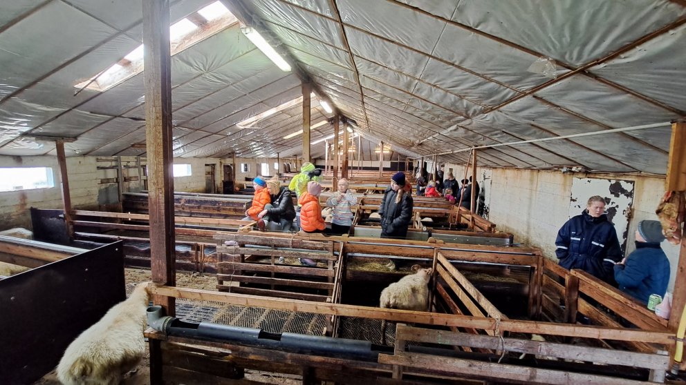 Lömb og sandkastalar