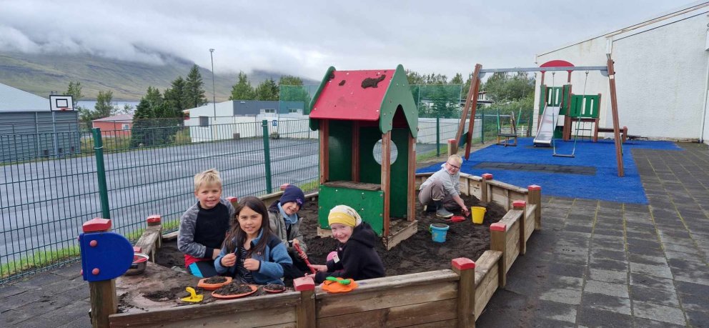 Agastefna og leiðbeiningar fyrir Mentor