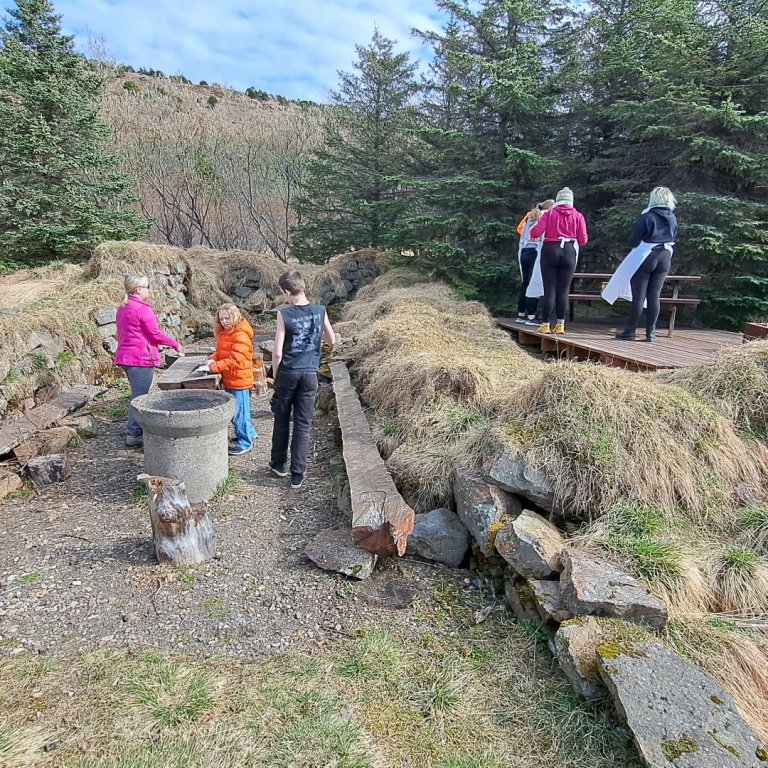 Málað í Nýgræðingi