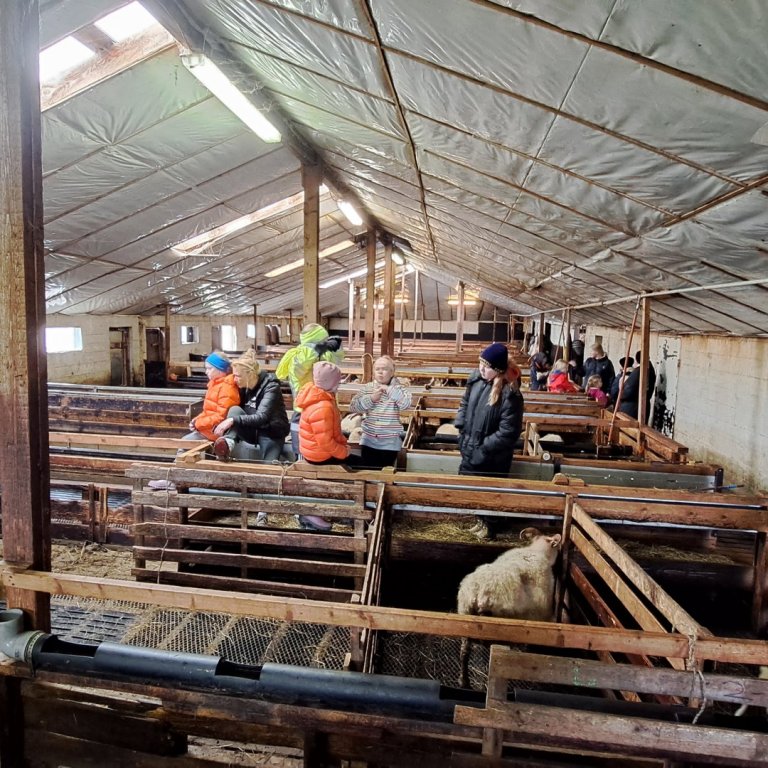 Lömb og sandkastalar