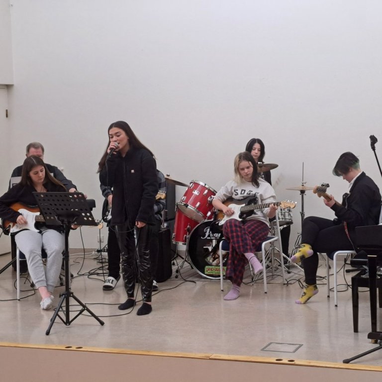 Hljómsveitin Háralitirnir sló heldur betur í gegn.