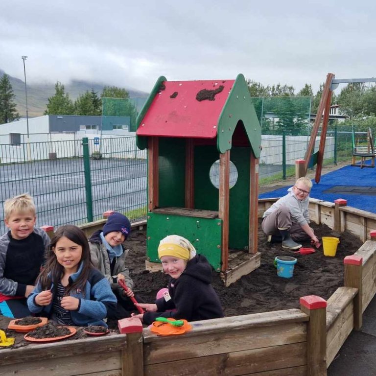 Agastefna og leiðbeiningar fyrir Mentor