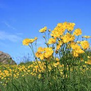 Sumarið er rétt handan við hornið.