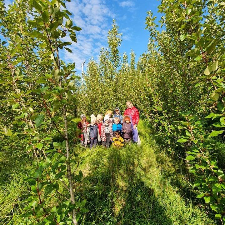 Hríslan og hópurinn.