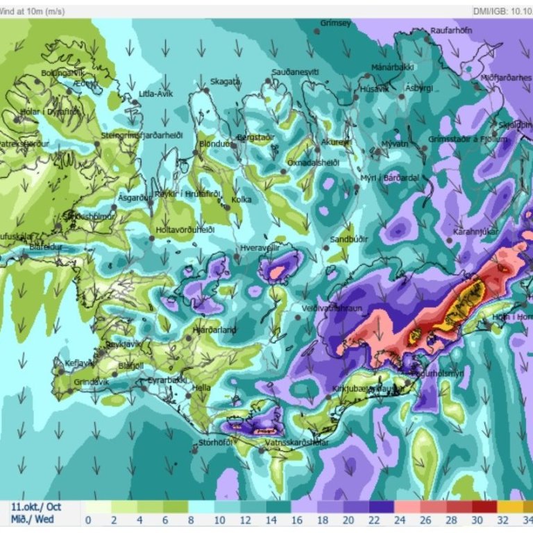 Skólahald 11. október